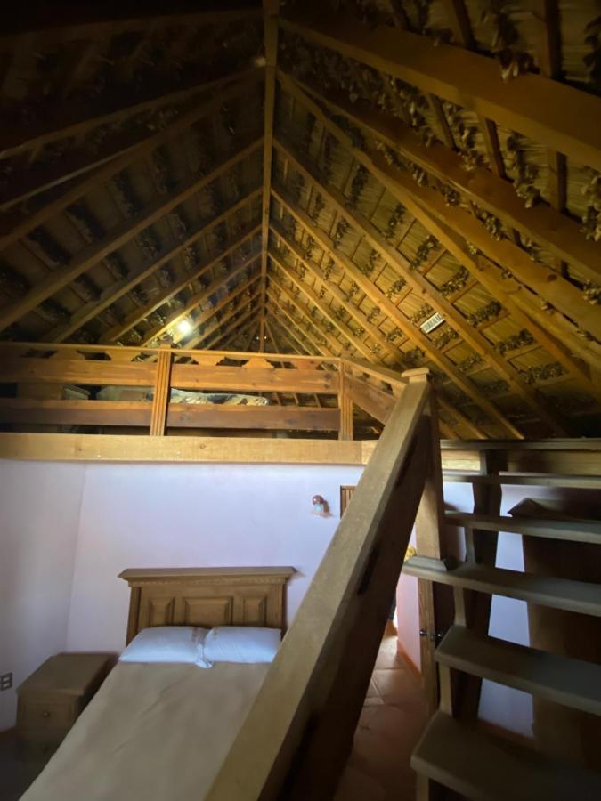 Ecoturismo Cabanas La Florida Cardonal Luaran gambar